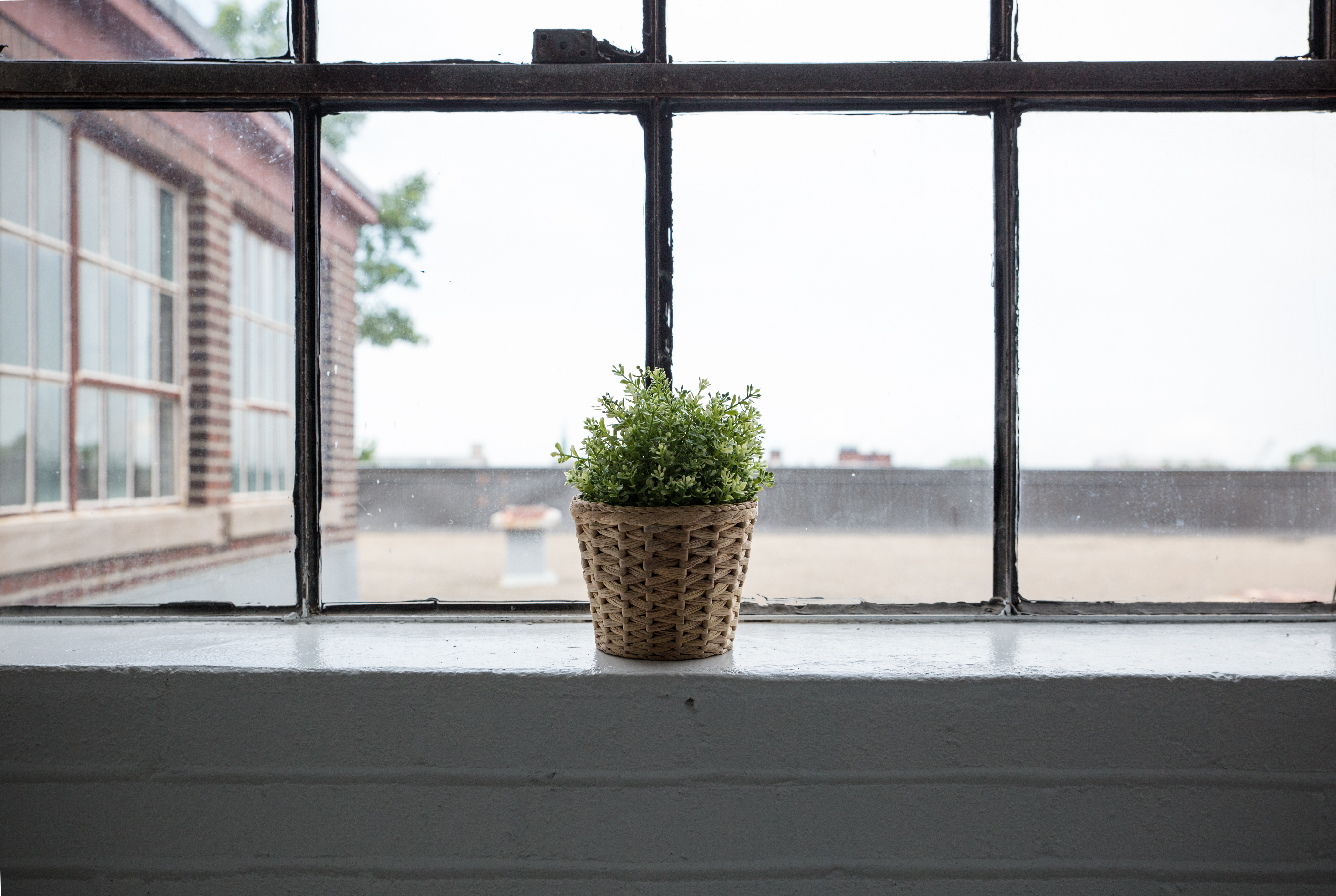 The window is big. Цветы на подоконнике. Подоконник с цветами. Пустой подоконник. Комнатные цветы на окне.