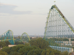 File:Wild Thing Treetop View.jpg