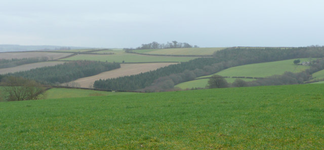 File:Woodland and farmland south of Higher Hollam - geograph.org.uk - 660130.jpg