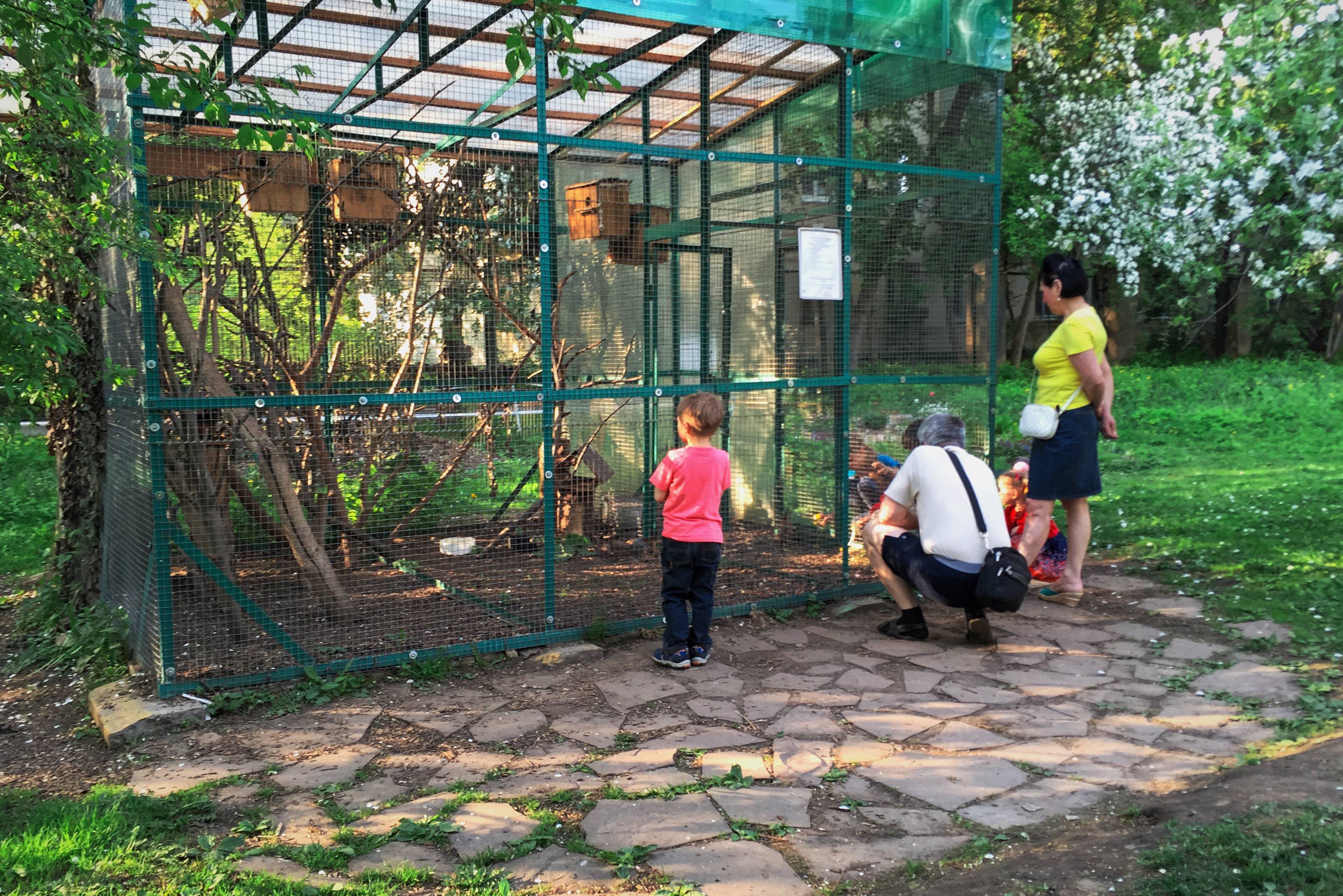 Юных натуралистов новокузнецк