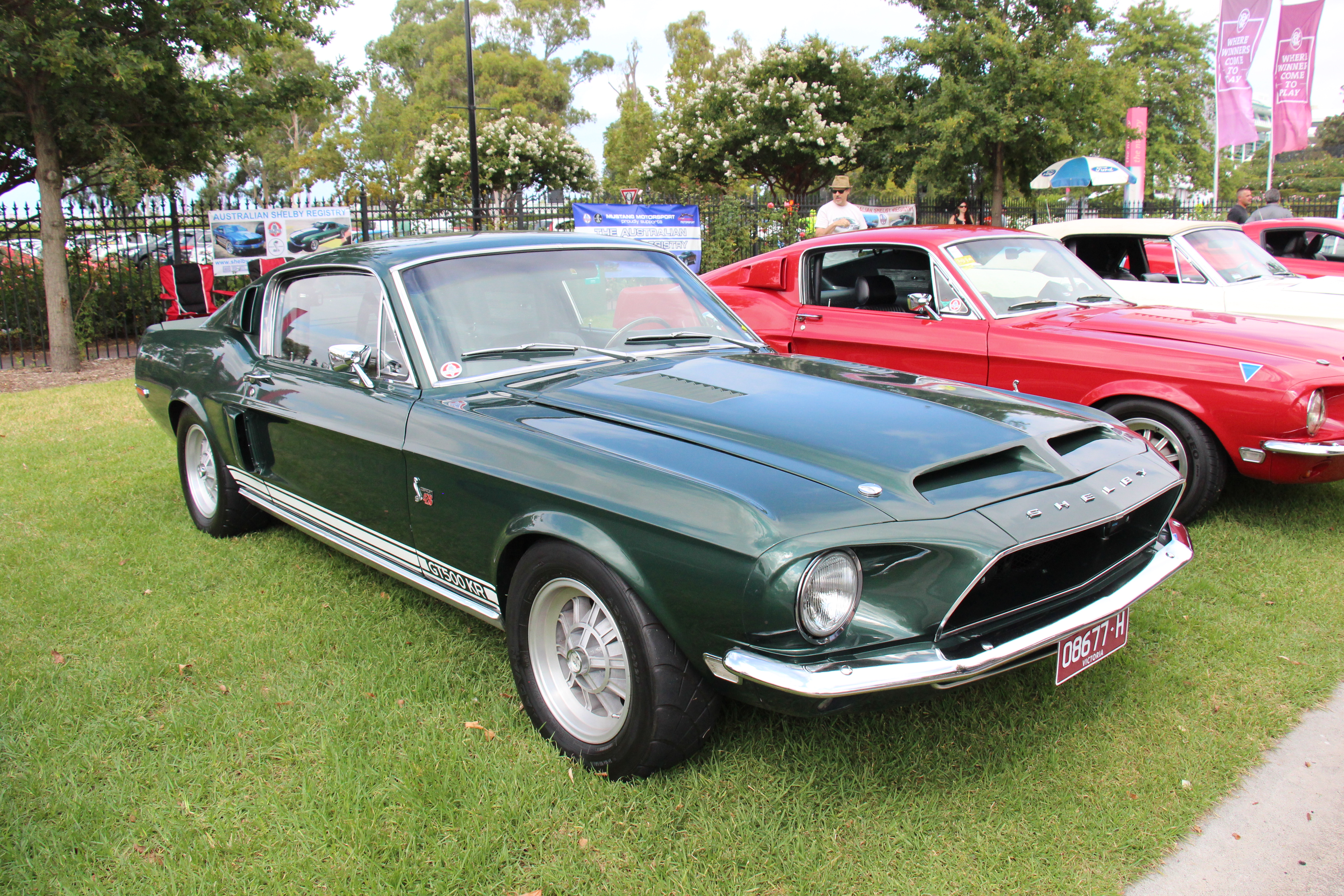 Shelby gt500kr 1968