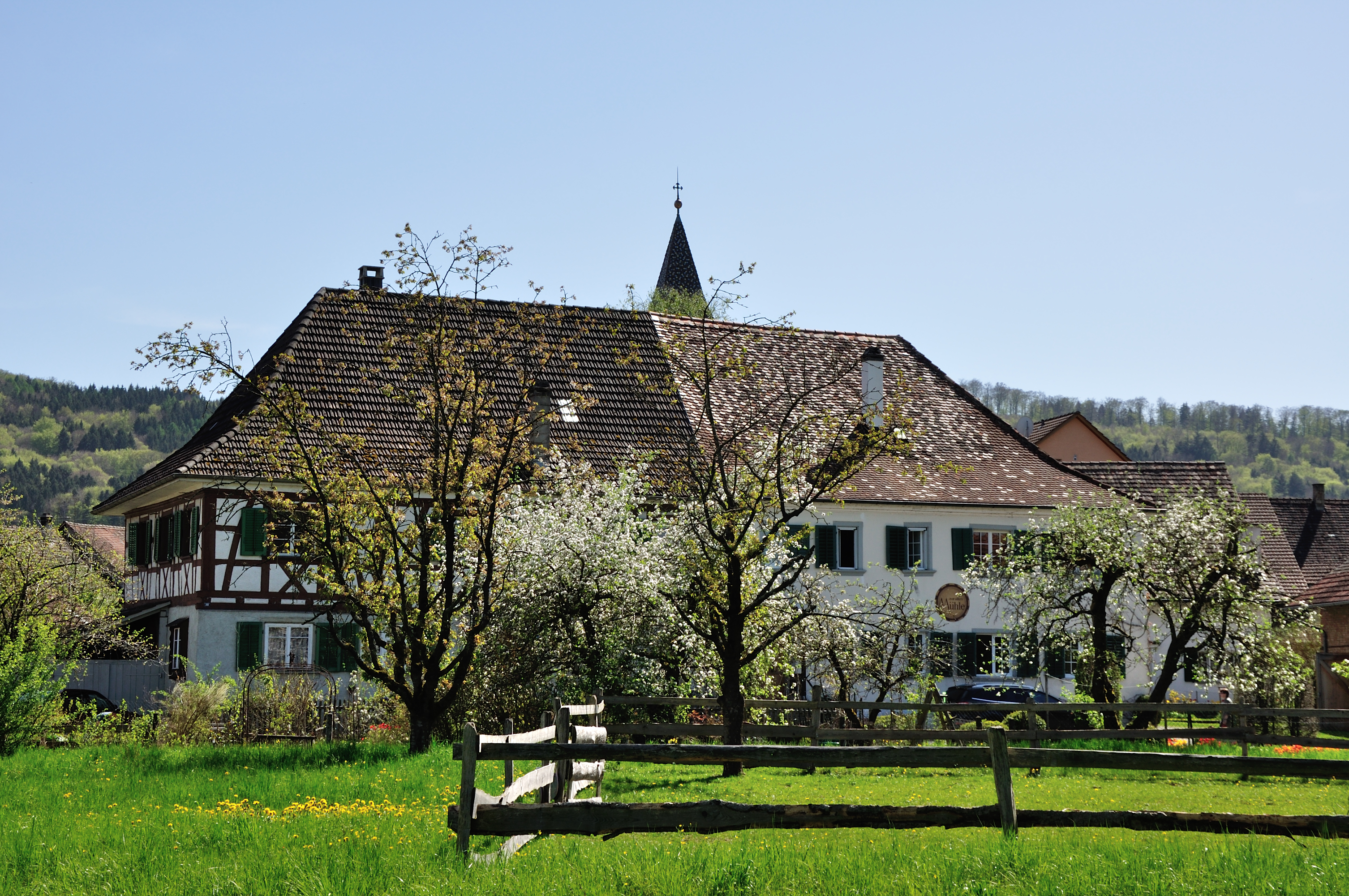 Венгрия 2 швейцария. Дом рыцаря Шаффхаузен. Доктор Шаффхаузен. Schaffhausen часы.