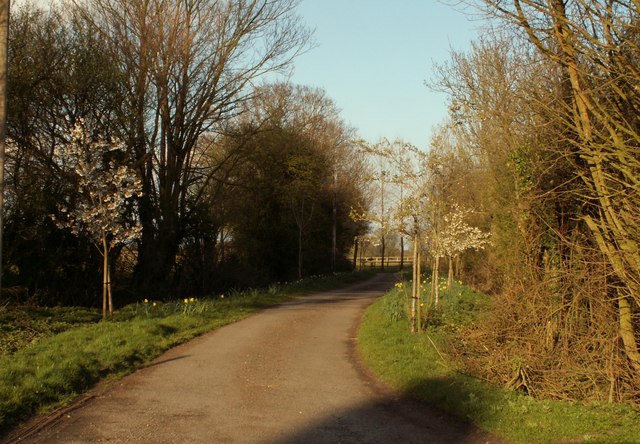 File:A short road leading to Greens - geograph.org.uk - 763878.jpg