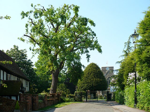 File:Approach to Wilstead Church - geograph.org.uk - 808281.jpg