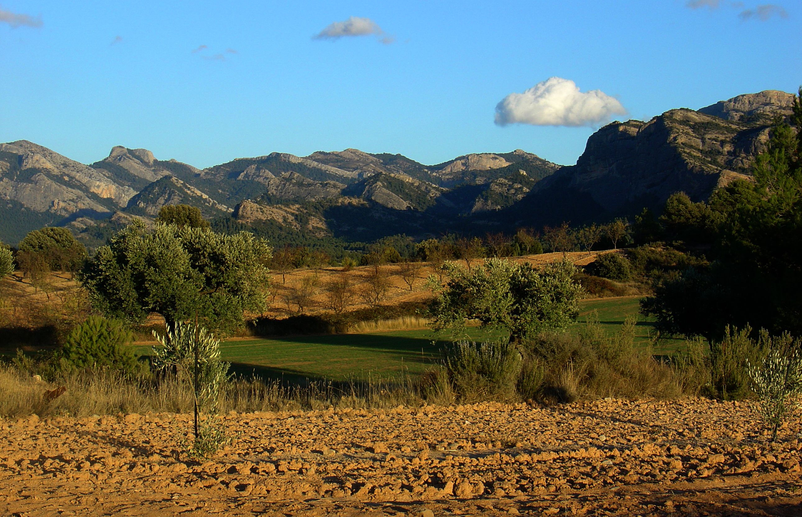 Massif Ports de Tortosa-Beseit from the plains of Arnes, by Pasdeguia