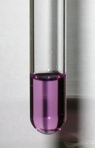 File:Biuret Test 2.jpg