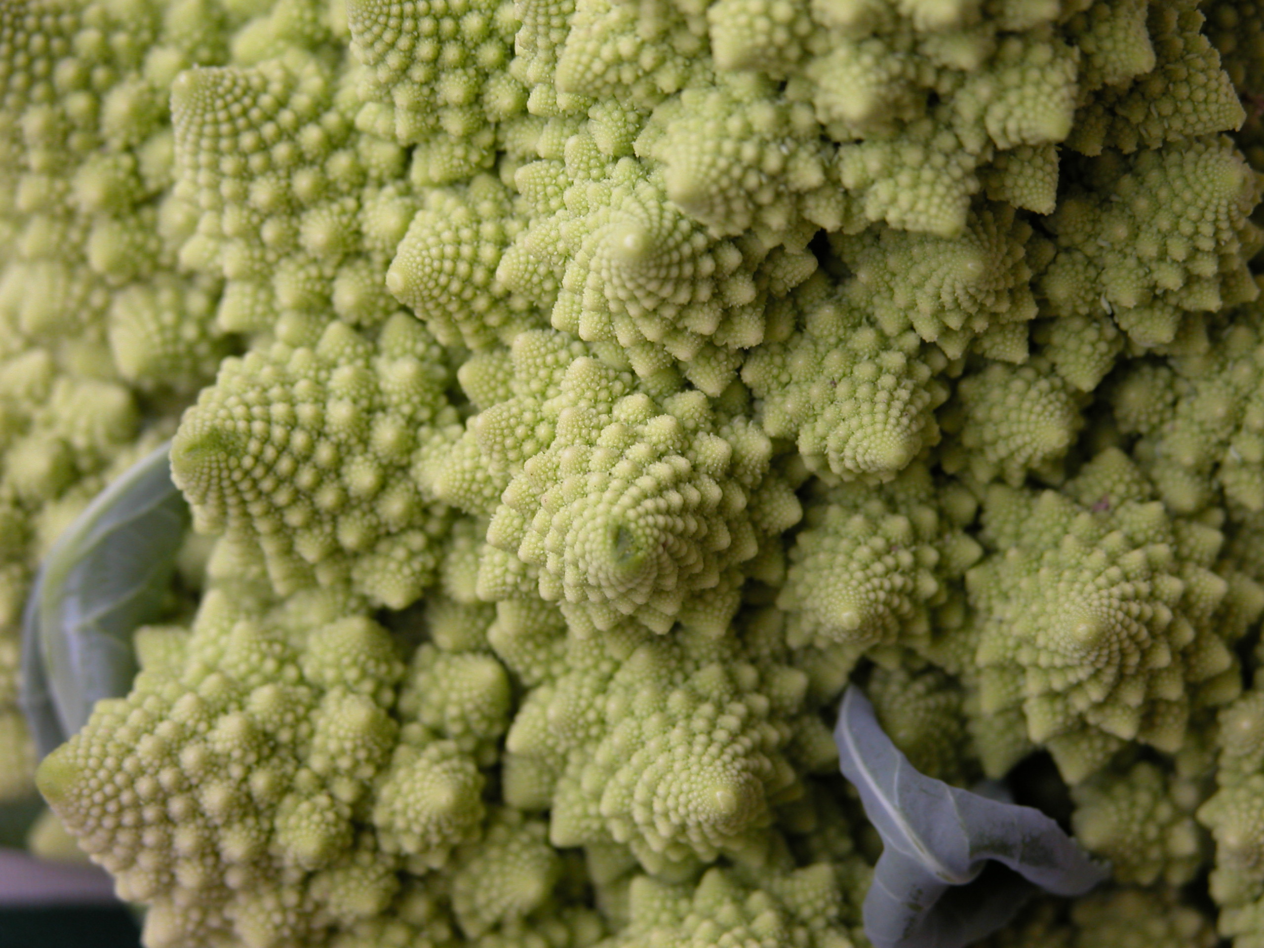 Cómo se hace el romanesco