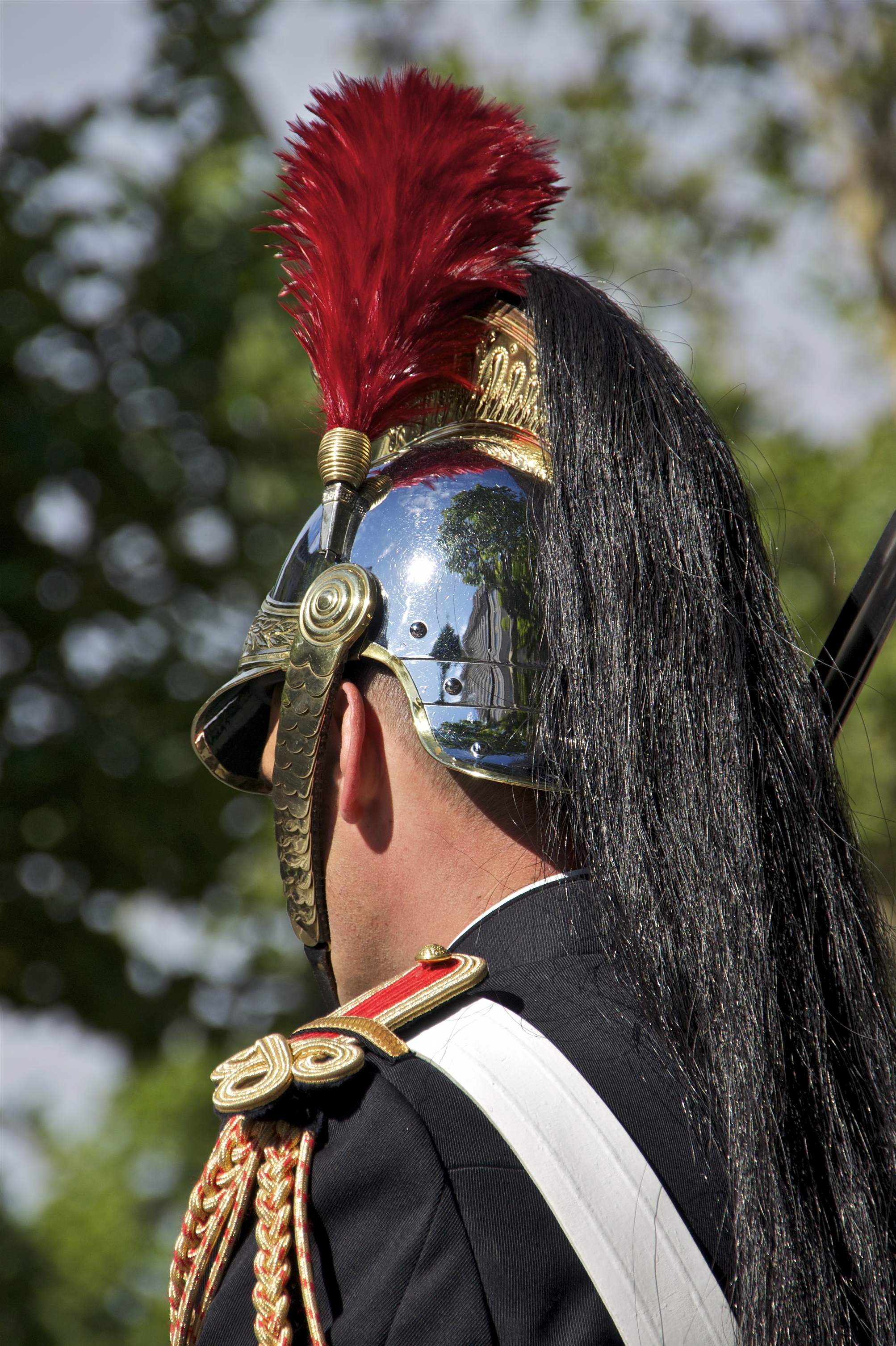 Plume (feather) - Wikipedia