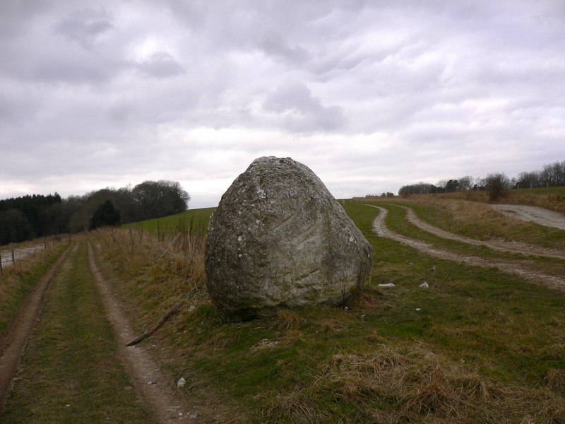 File:Chalk ball by South Downs Way - geograph.org.uk - 1747794.jpg