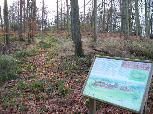 File:Cockroad Wood Motte and Bailey - geograph.org.uk - 1616388.jpg