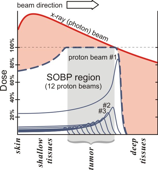 File:Comparison of dose profiles for proton v. x-ray radiotherapy.png