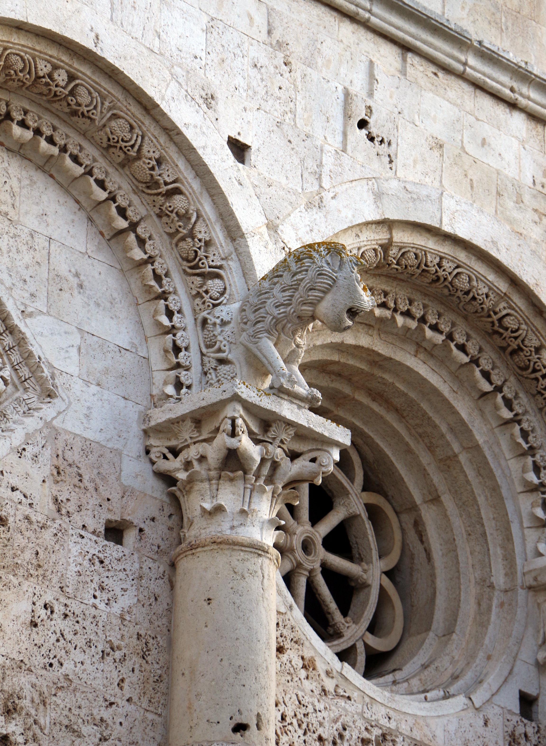 Duomo di Massa mMrittima, esterno, capitelli leonini, XIII secolo