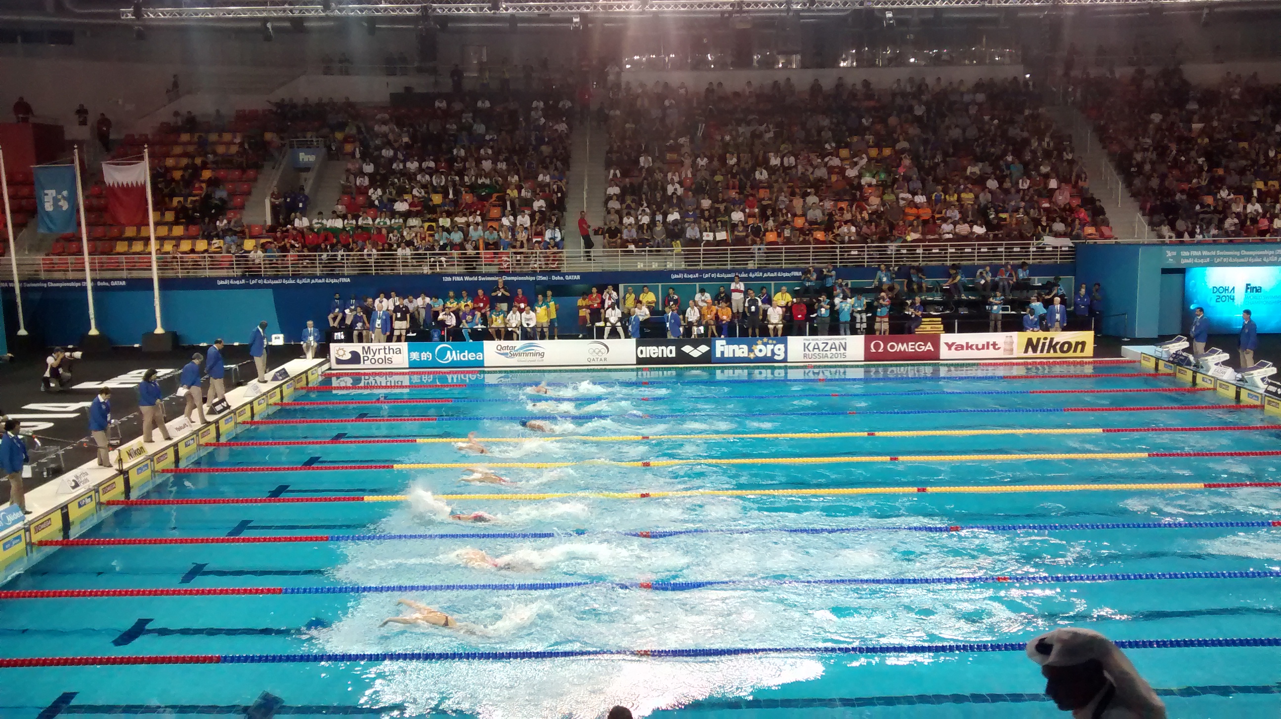 Fina short course sales world championships