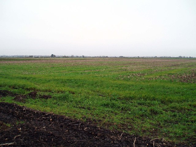 File:Farmland that was once a fen. - geograph.org.uk - 72564.jpg