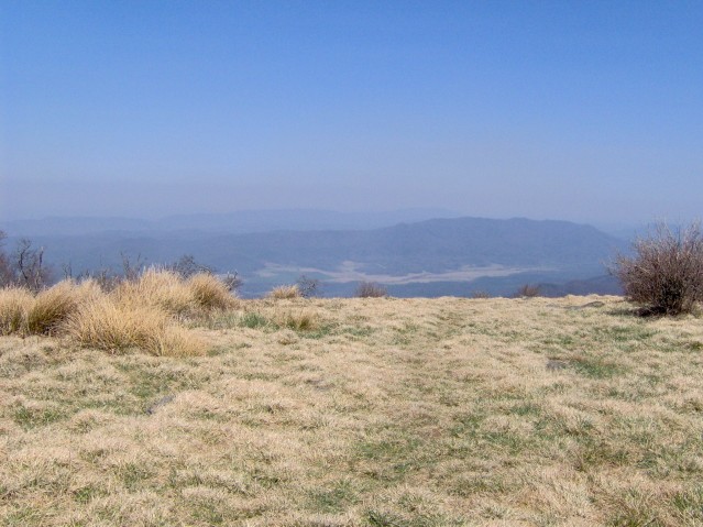 File:Gregory-bald-summit-cadescove1.jpg