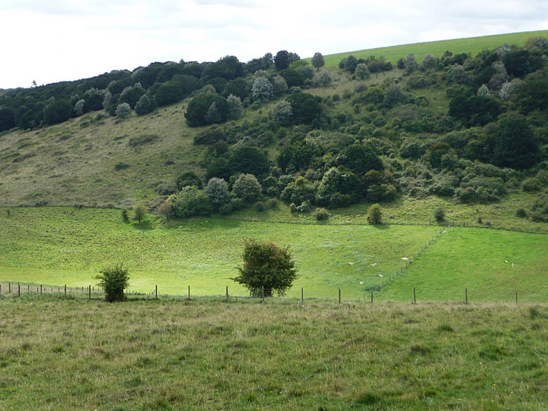 File:Hilhampton Down - geograph.org.uk - 1739209.jpg