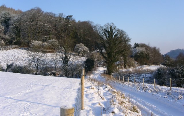 Hillmill lane to Lower Lodge of Newark Park - geograph.org.uk - 1657601