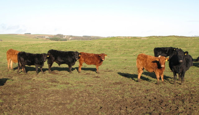 File:I'd stick to the path if I were you - geograph.org.uk - 627223.jpg