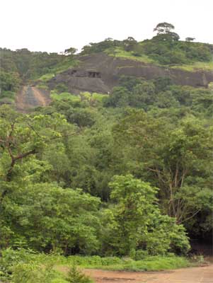 The caves as viewed from the base of the hill.