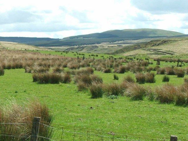 File:Looking up the Guelt Water - geograph.org.uk - 434770.jpg