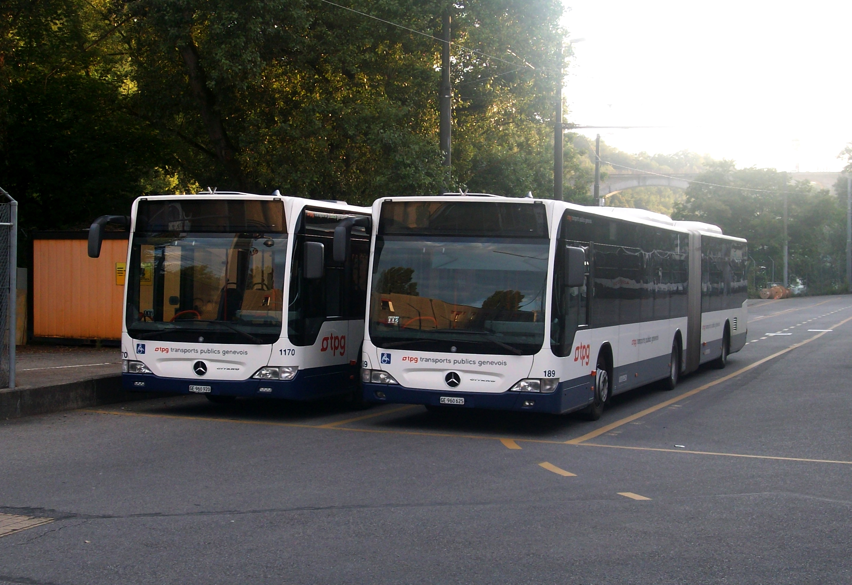 Mercedes Benz Bus Citaro 7 7 2012