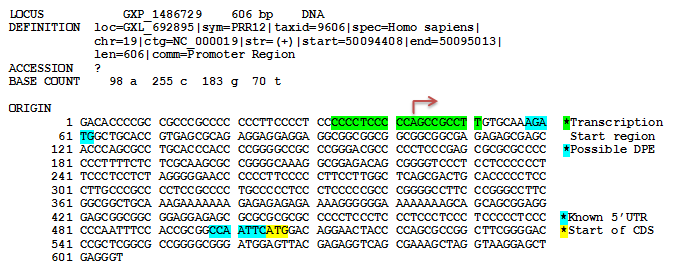PRR12 Promoter Region as predicted using ElDorado via Genomatix. PRR12 Predicted Promoter Region.png