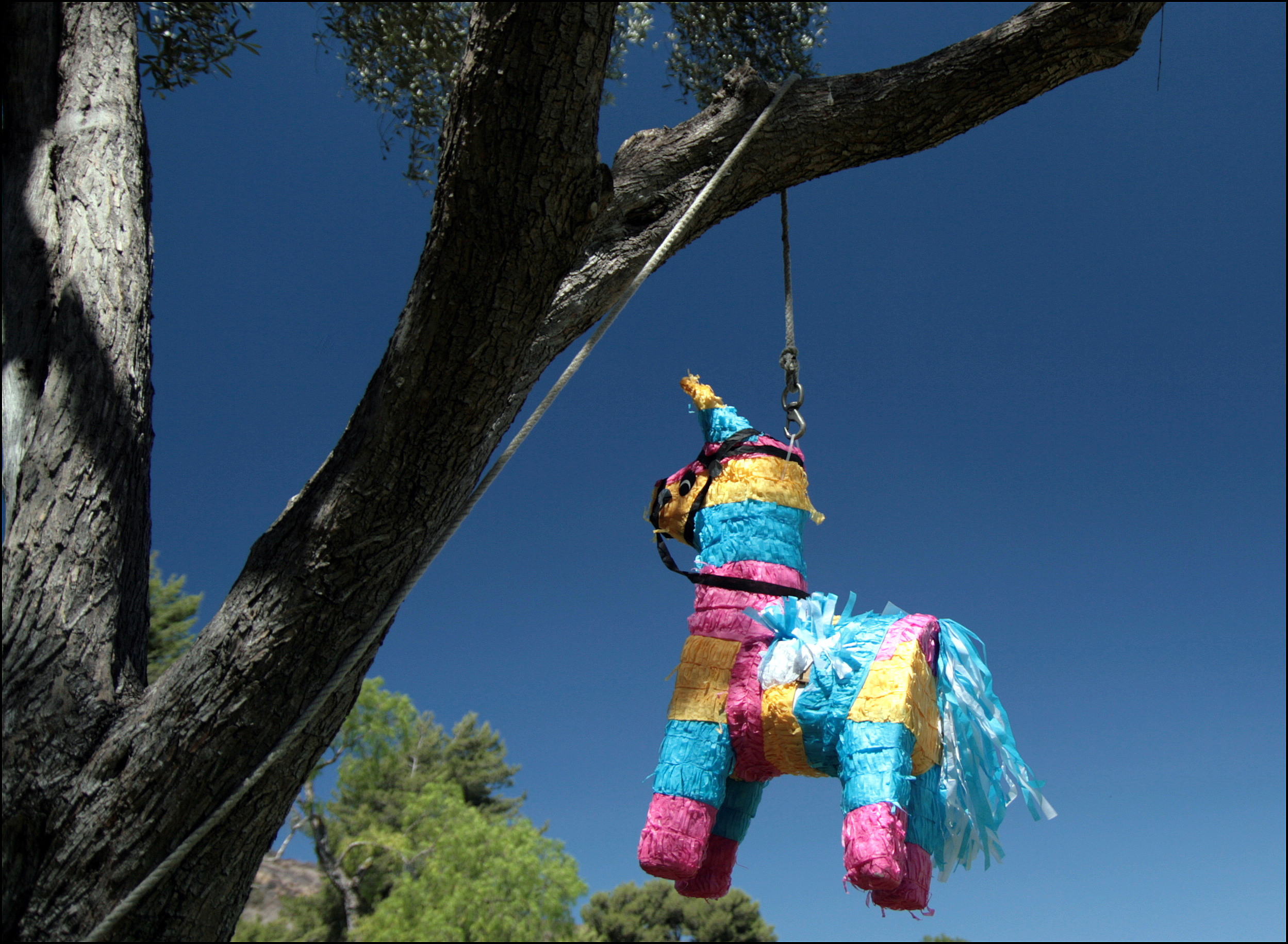 File:Piñata in San Diego.jpg - Wikimedia Commons