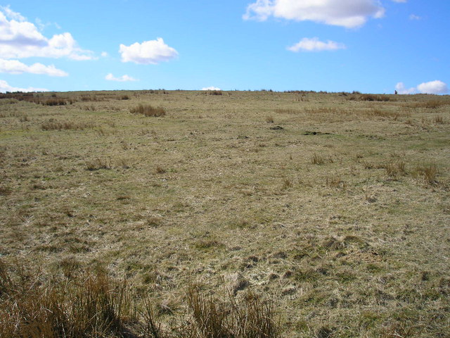 File:Rough grazing near Bordley - geograph.org.uk - 150177.jpg