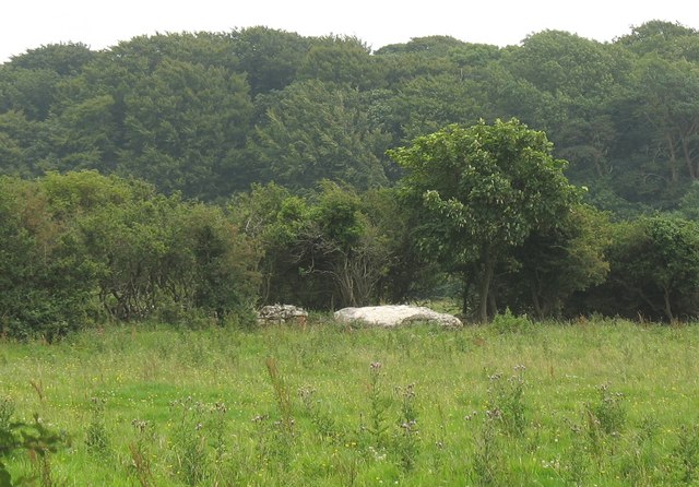 File:The Benllech Burial Chamber - geograph.org.uk - 906873.jpg