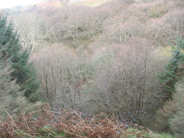 File:The incised Nant Gwrtheyrn valley - geograph.org.uk - 681706.jpg