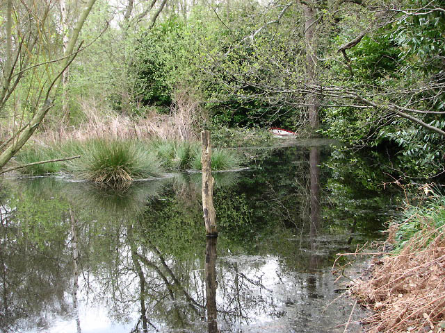 The other end of the lake - geograph.org.uk - 777435