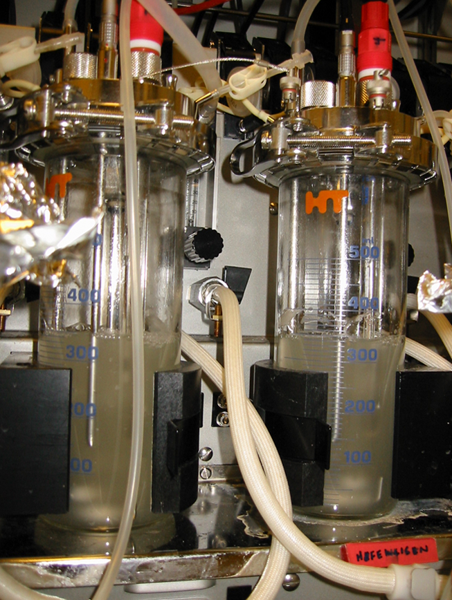 two chemostats with yeast cultures