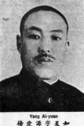 Yang Aiyuan2.jpg