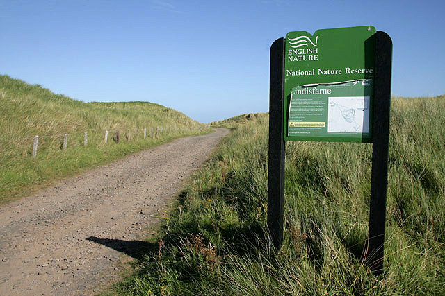 Lindisfarne National Nature Reserve