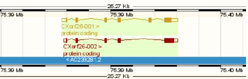 File:Altern splicing CXorf26.JPG