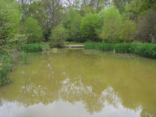 Apostles Pond - geograph.org.uk - 2172241