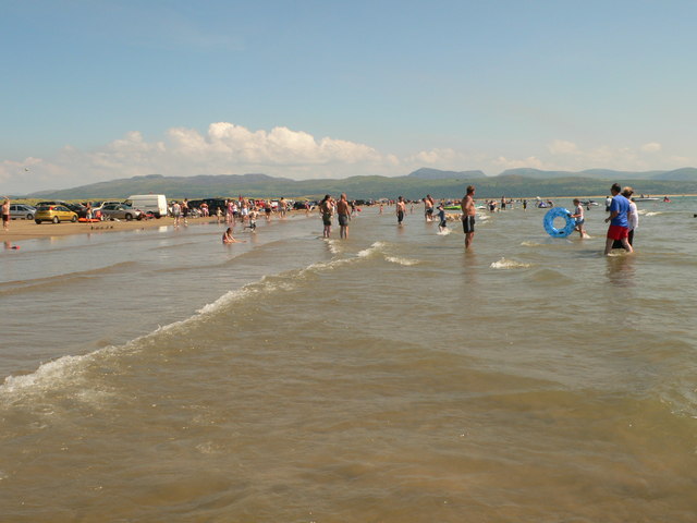 are dogs allowed on black rock sands