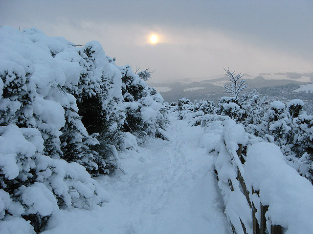 File:Blaikie's Hill in winter - geograph.org.uk - 649312.jpg