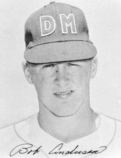 <span class="mw-page-title-main">Bob Anderson (baseball)</span> American baseball player (1935-2015)