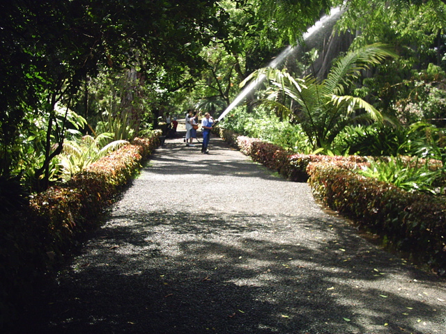 File:Botanico 2005.jpg