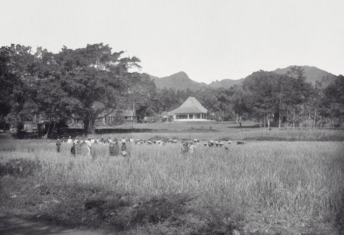 File:COLLECTIE TROPENMUSEUM Gezicht op controleurswoning te Boea in de Padangsche Bovenlanden TMnr 60038705.jpg