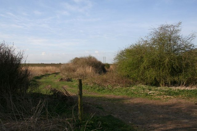 File:Canal that way - geograph.org.uk - 1262303.jpg