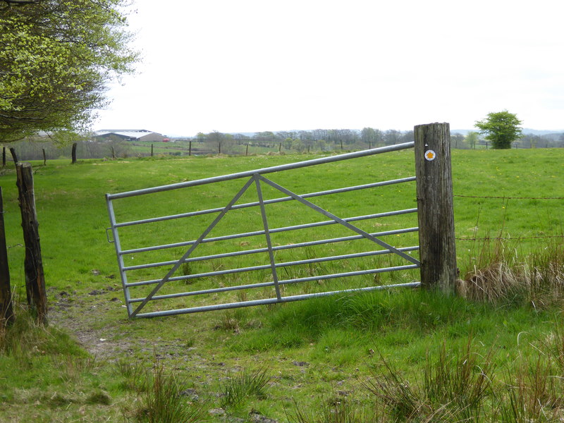 File:Channel to Channel (258) - geograph.org.uk - 4465562.jpg