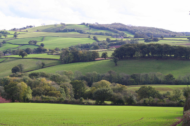 File:Cheriton Fitzpaine, near Brindiwell - geograph.org.uk - 68064.jpg