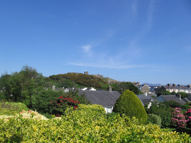 File:Criccieth Castle viewed from Penaber - geograph.org.uk - 1306325.jpg