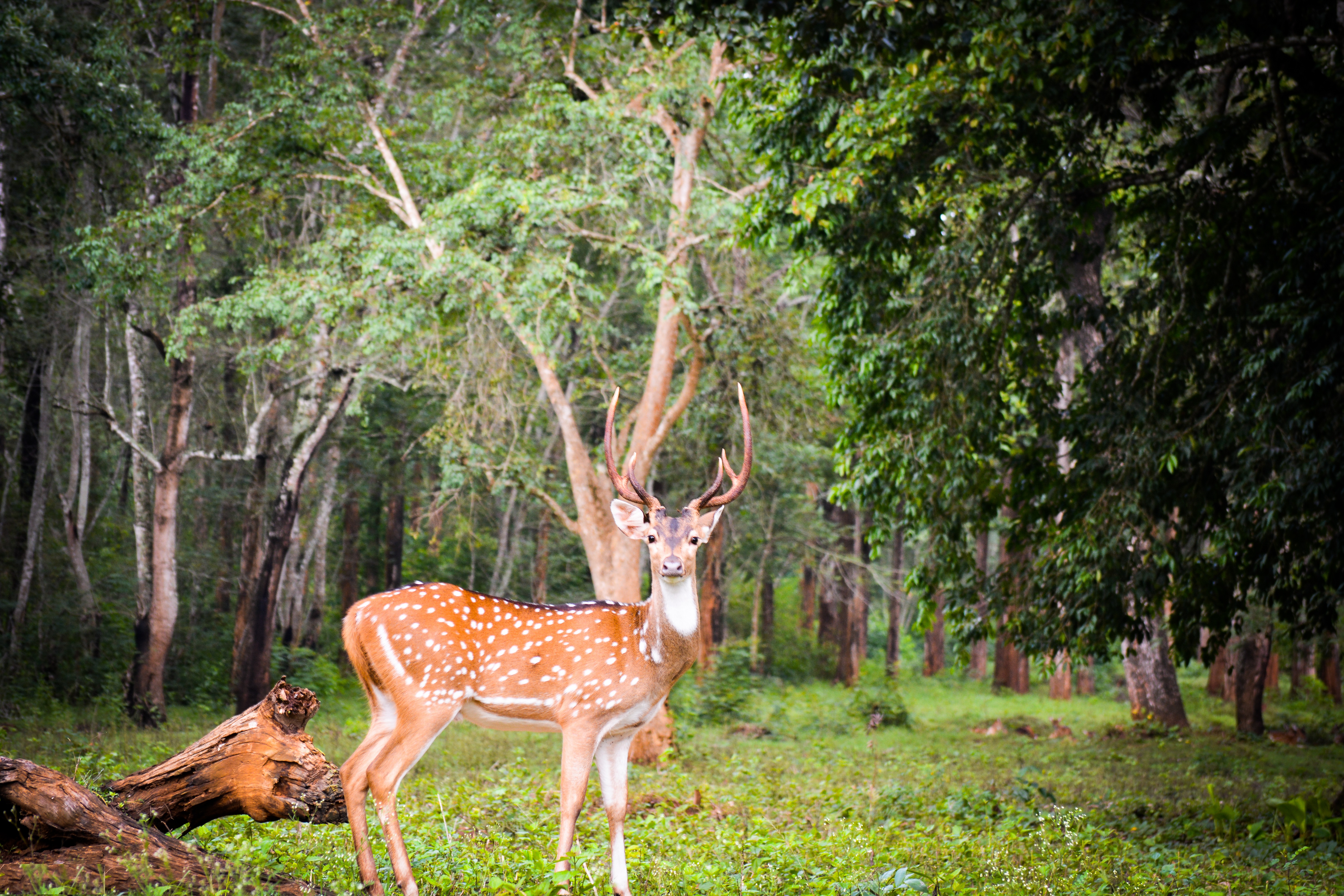 Karnataka Tourism 7