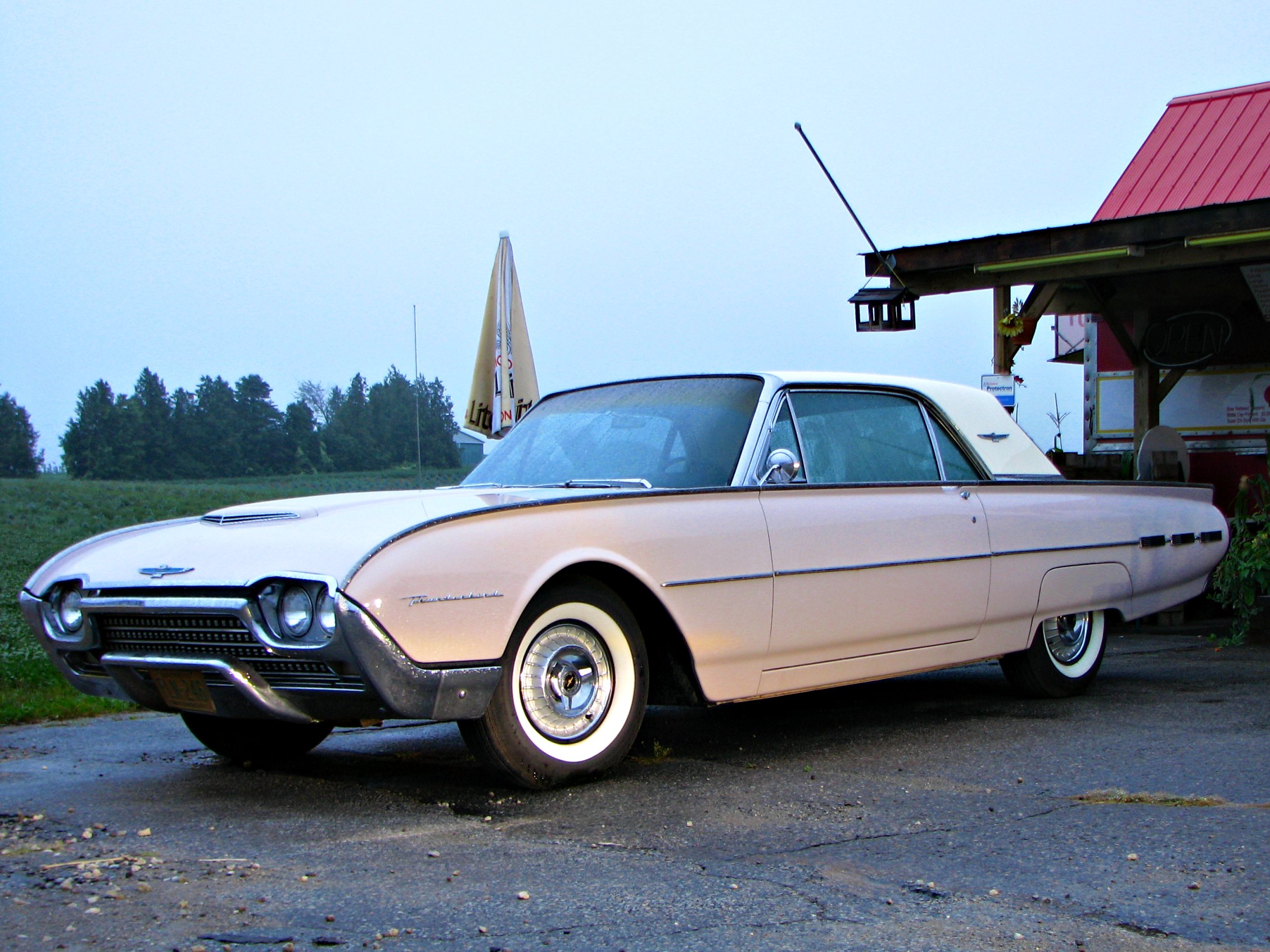 Ford Thunderbird Pink