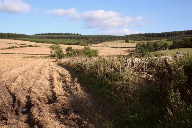 Gorehead Wood and Hill of Marcus - geograph.org.uk - 975323