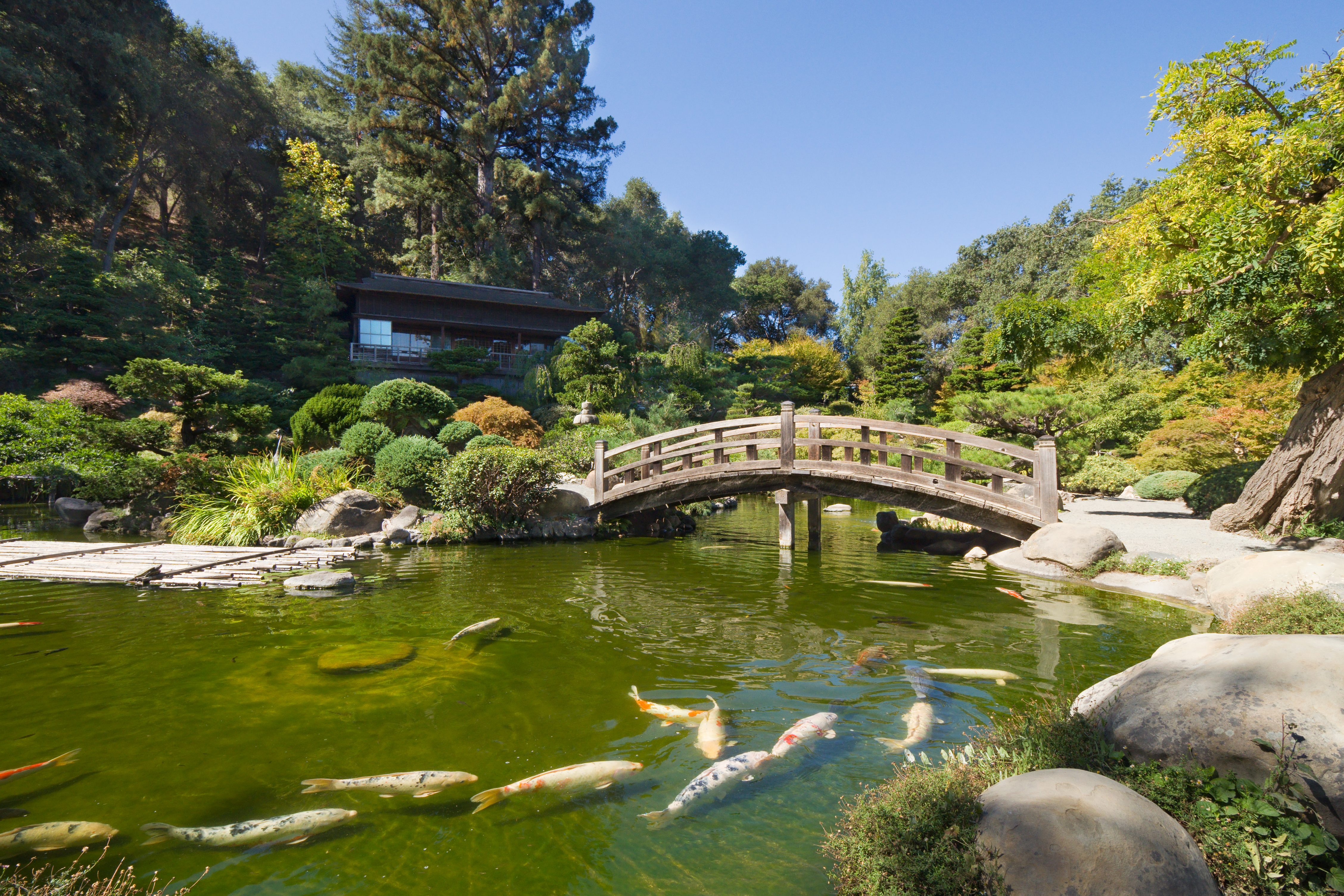 Japanese dry garden - Wikipedia