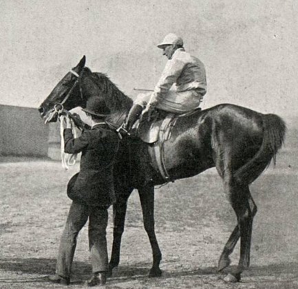 File:Handicapper (horse).jpg